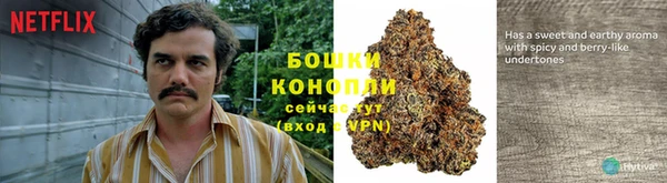 spice Алексеевка