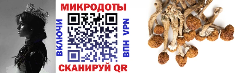 где можно купить   Черкесск  Псилоцибиновые грибы мухоморы 